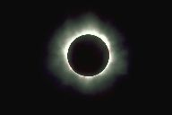 Korona in guter Ausprägung